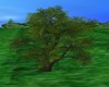 ADD TREE