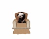 40%Baby Bear Chair