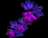 Purple Flower H