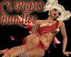 [A&P]CUPIDO bundles