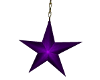 Hanging Star Purple