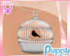 [Pup] Bird Cage Necklace