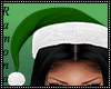 Santa Green Hat