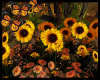 [RM]Sunflowers/Butterfly
