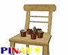 Chair and plants 1