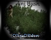 (OD) Ani. Bush