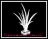Animated Silver Plant