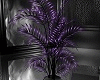 SILANCE TALL PLANT