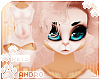 [Pets] Chai Furry | Andro