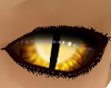 [LS] Yellow snake eyes