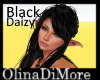 (OD) Black Daizy