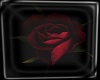 Dark Rose Framed Art