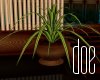 [d0e] Opulence Plant
