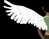 Angelic Wings