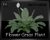 Flower Plant 26