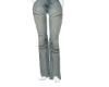 Moto Denim F