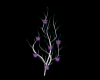 Derivable Candle Tree