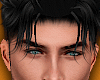 Handsome L1