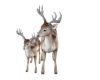 Reindeer Deco