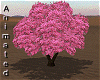 pink tree with shadowANI