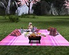 sexy picnic 