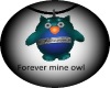 (OD) forever mine owl