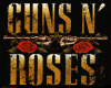 Guns N Roses Poster