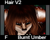 Burnt Umber Hair F V2