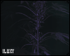 || Neon Plant |||