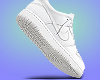 Dunks Low SB White N/S