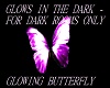 BEAUTIFUL glow butterfly