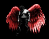 Room Angel Pasion