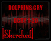 Live- Dolphins Cry