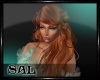 SAL~ Sadie copper