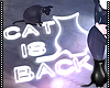 [CS] Cat is Back Neon