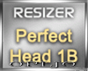 Perfect - Head 1B