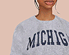Michigan Sweater