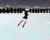 Skating + 2 animaton