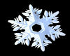 BRRR! Snowflake