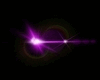 PURPLE DELIGHT