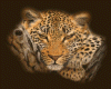 BLINKING TIGER..