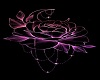 Moon Lit Rose Bar/Club