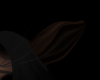 . Elvira ears