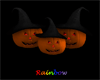 Pumpkin Witches