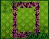 )S( Ivy Special Frame 5