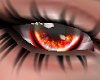 Phoenix Ember Eyes M/F