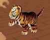 {HB} Baby bengal tiger