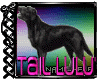 Tail Dog