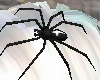 Spider on Hair