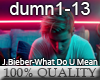 J.Bieber -What Do U Mean